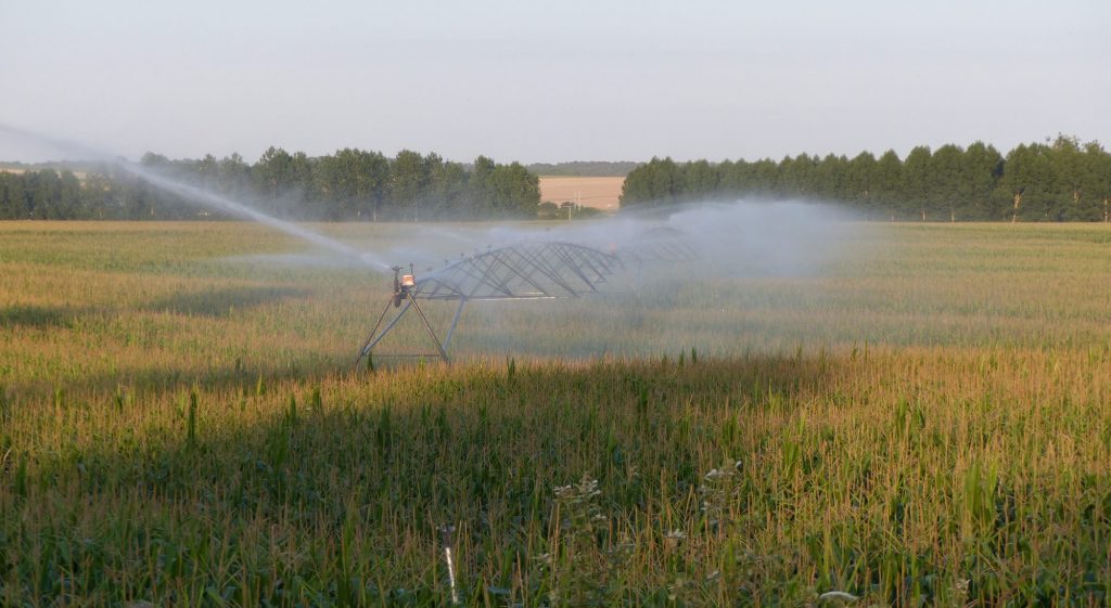 Communiqué inter associatif – Hausse des pompages d&rsquo;irrigation dans le bassin du Clain