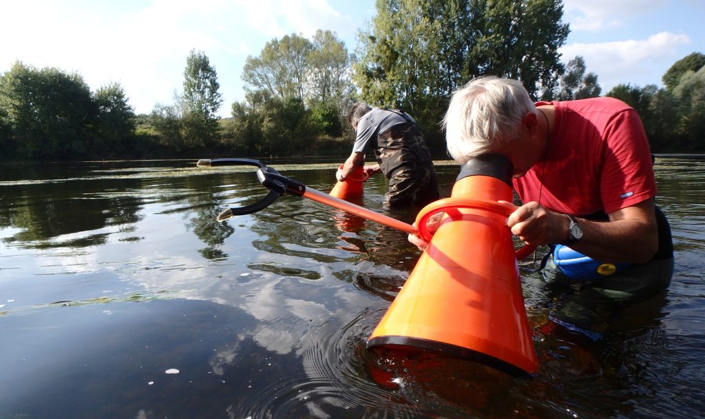 Journée technique régionale sur les Mulettes de Nouvelle-Aquitaine