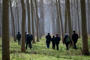 [COMPLET] Sur les traces des castors de la Boivre @ Vouneuil-Sous-Biard
