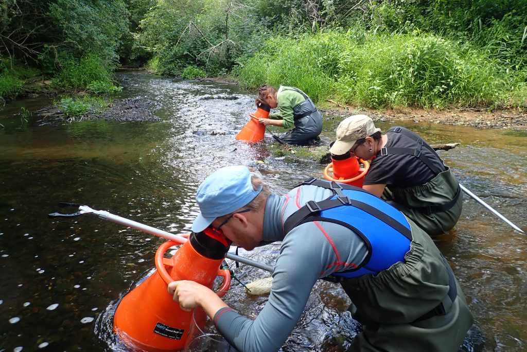 Prospection – À la pêche à la Mulette !