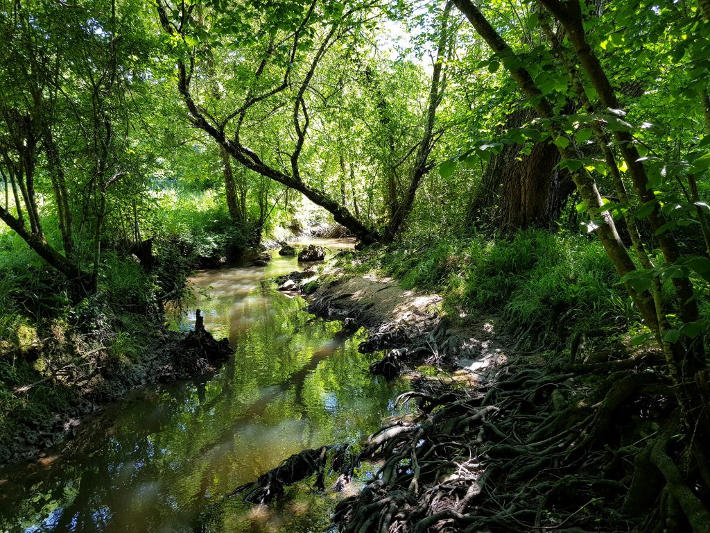[Changement date] Balade nature dans la vallée du Corchon