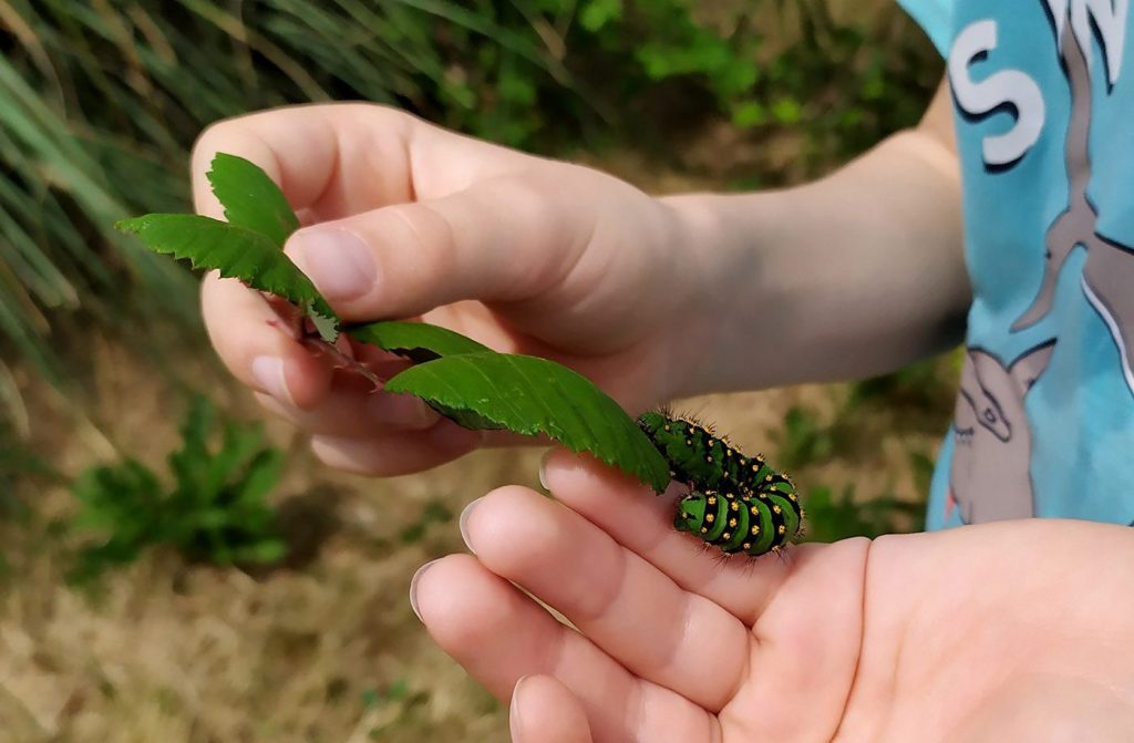 Découverte nature pour les enfants au Fontou