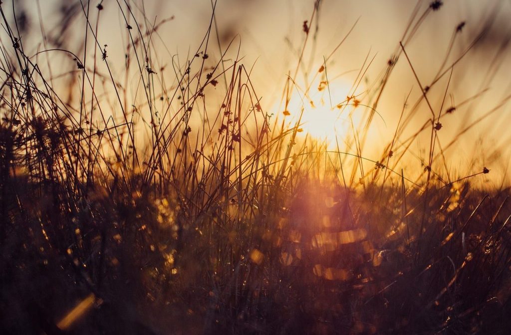 La nature au crépuscule au Fontou