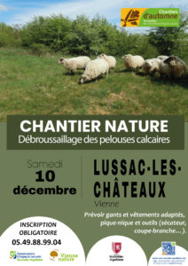 Chantier nature à l'Arrault @ Lussac-les-Châteaux