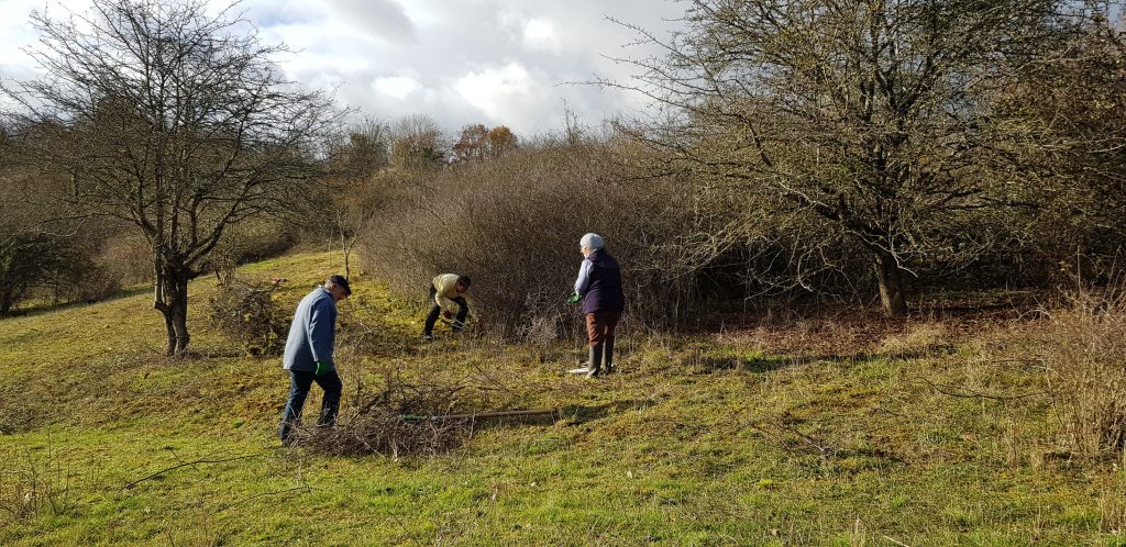 Chantier Nature à l&rsquo;Arrault