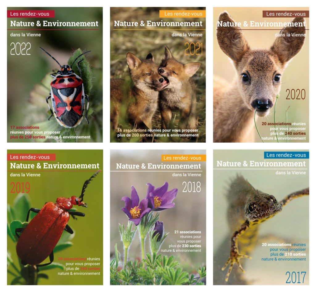 CONCOURS PHOTO 2023 !