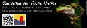 Formation Faune Vienne @ Fontaine-le-Comte