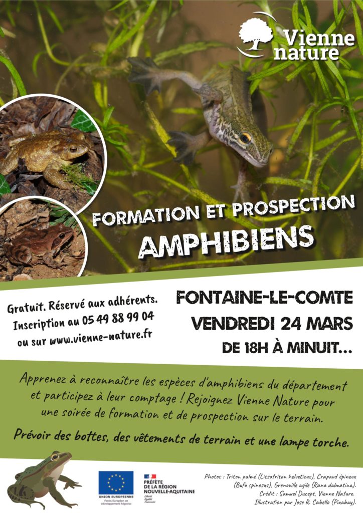 Formation et prospection Amphibiens