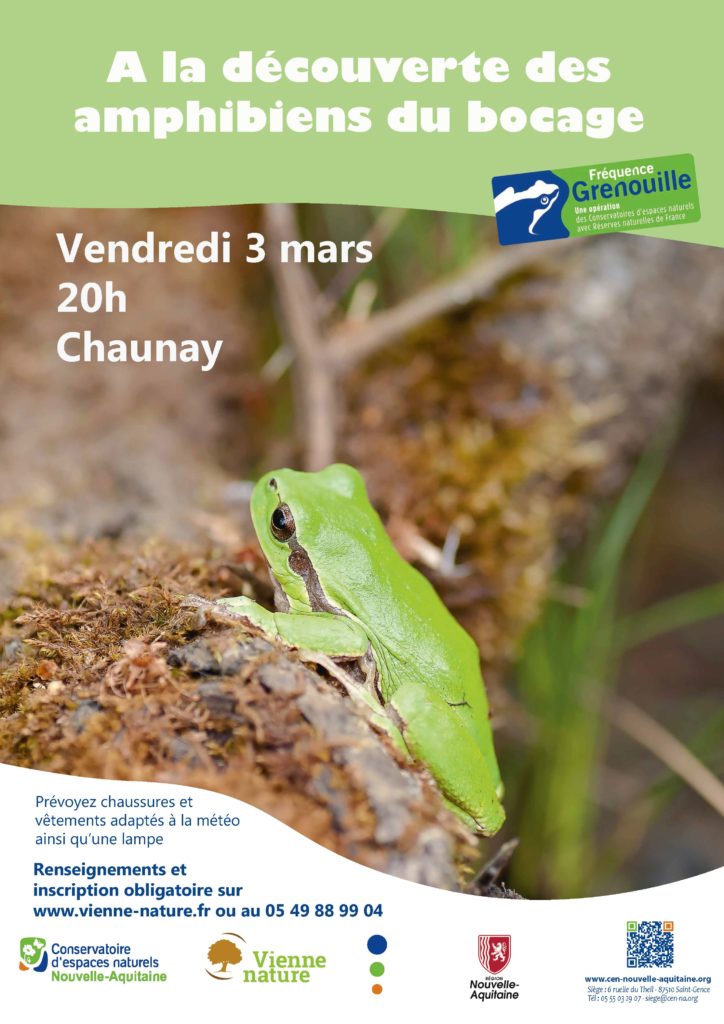 Fréquence Grenouille
