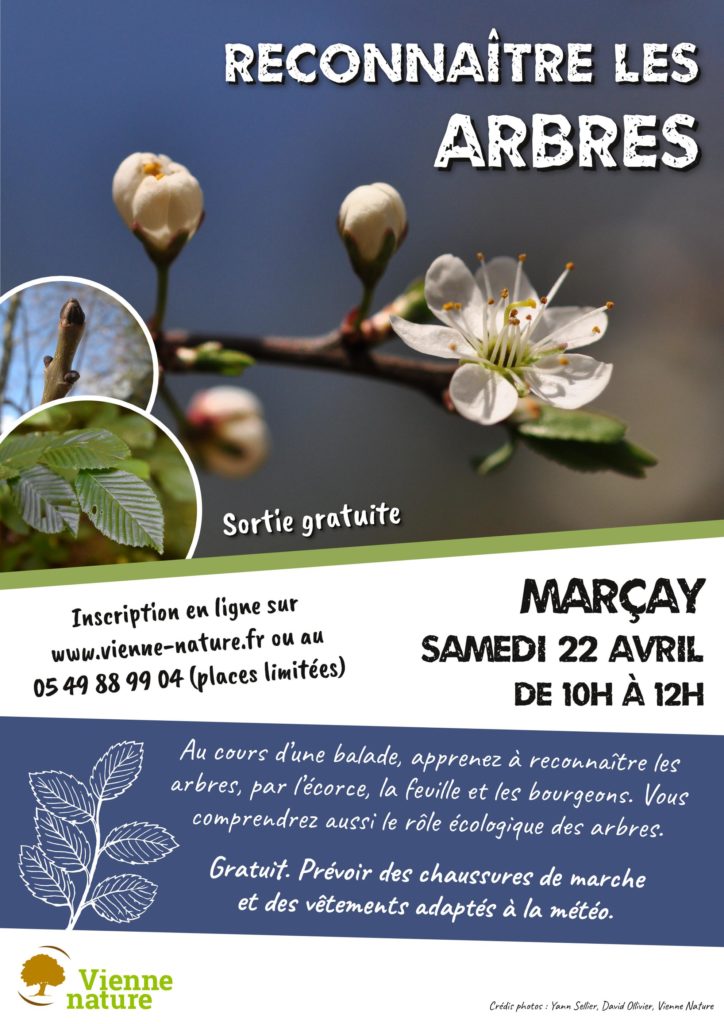 [COMPLET] Reconnaître les arbres