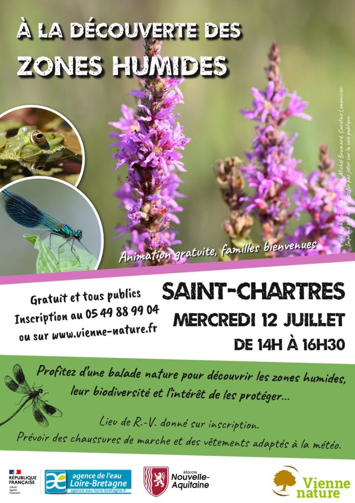 A la découverte des zones humides