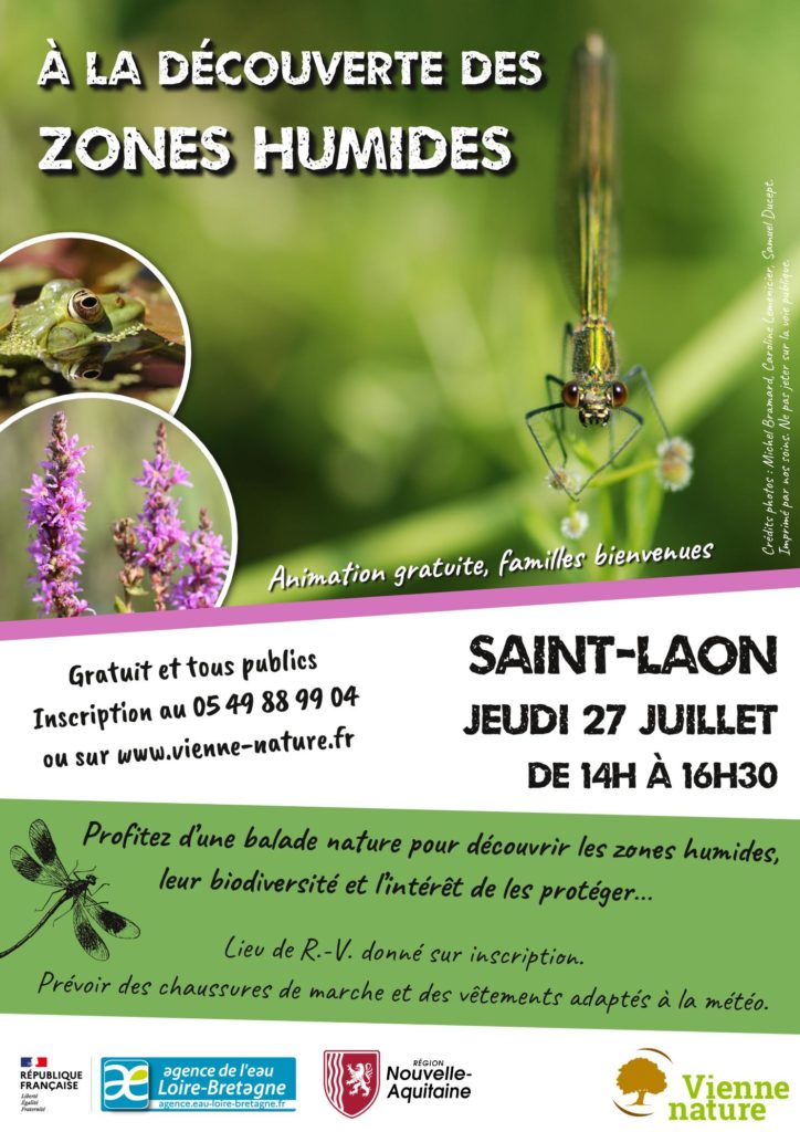 Découverte des zones humides