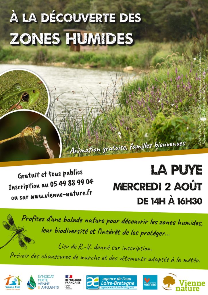 Découverte des zones humides