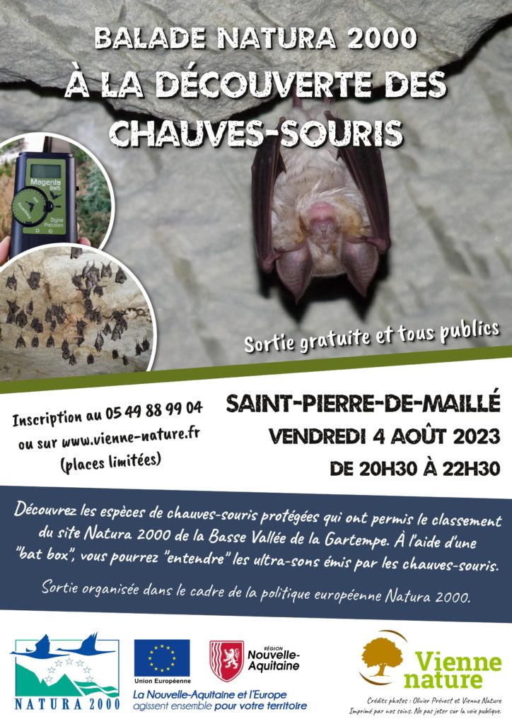 Balade Natura 2000 : À la découverte des Chauves-souris