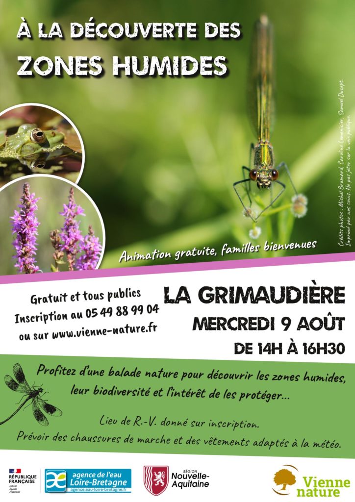 Découverte des zones humides