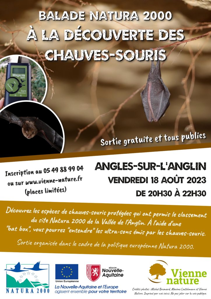 Balade Natura 2000 : À la découverte des Chauves-souris
