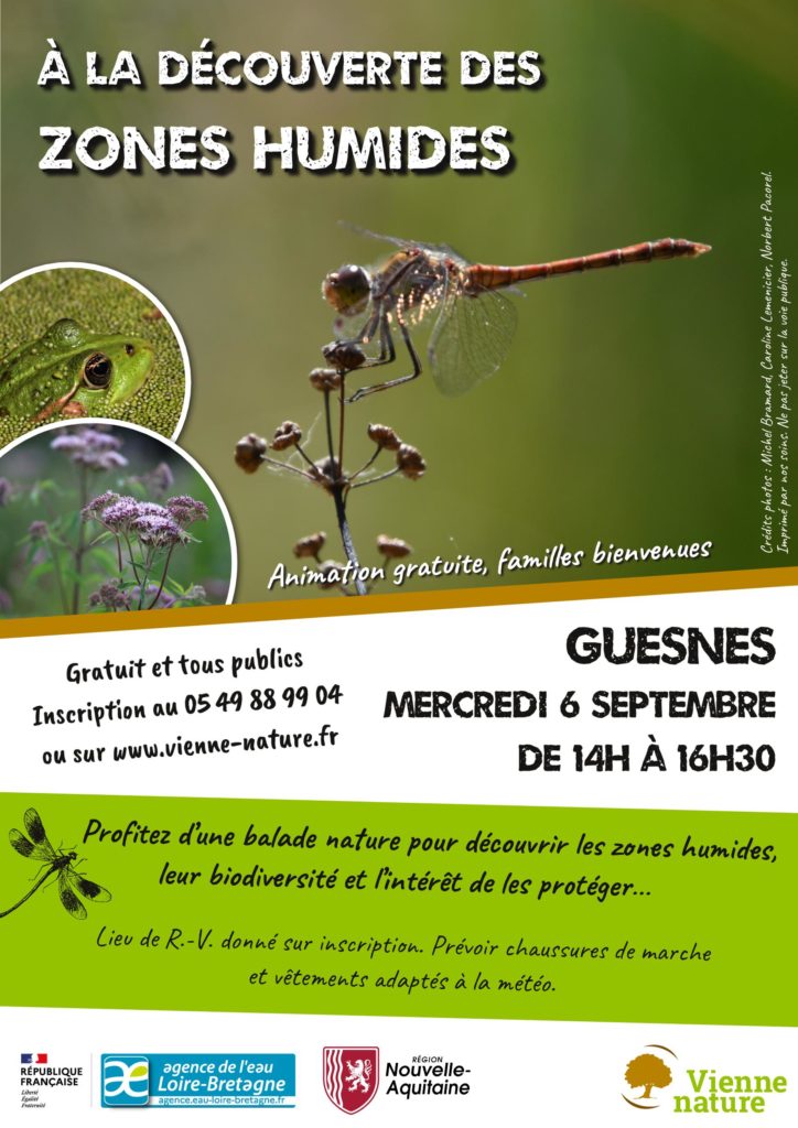 Découverte des zones humides