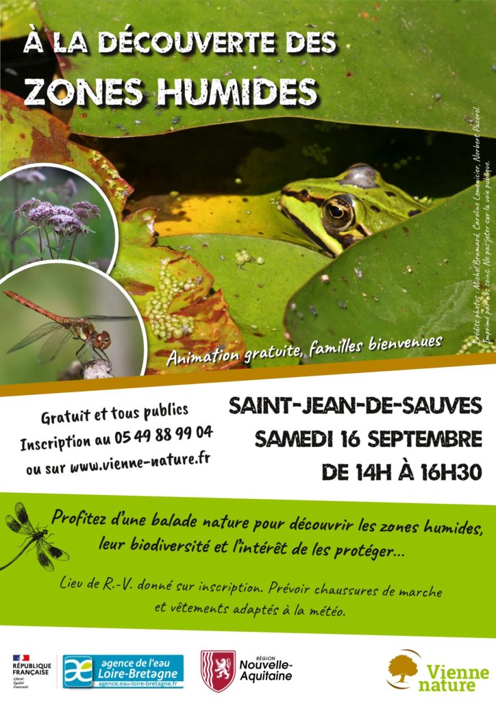 Découverte des zones humides