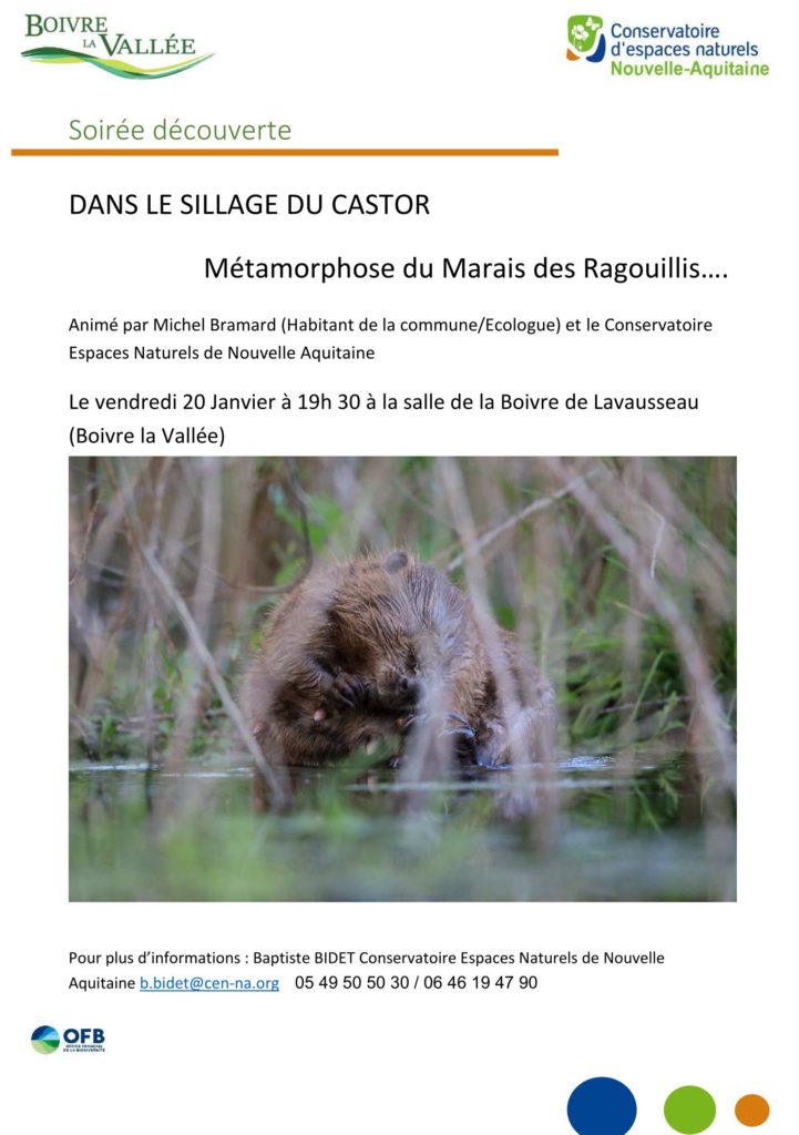 Partenaire – Dans le sillage du Castor – Métamorphose du Marais des Ragouillis