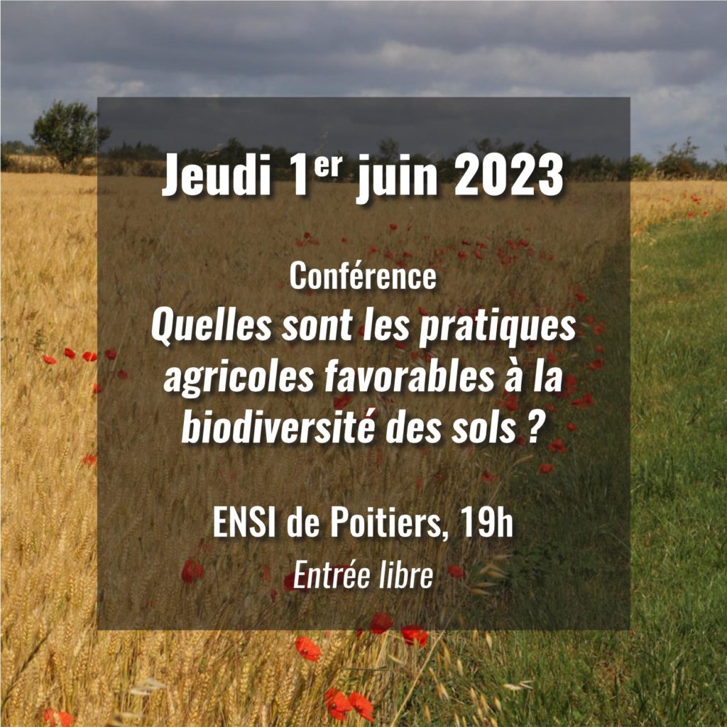 Conférence « Quelles sont les pratiques agricoles favorables à la biodiversité des sols ? »