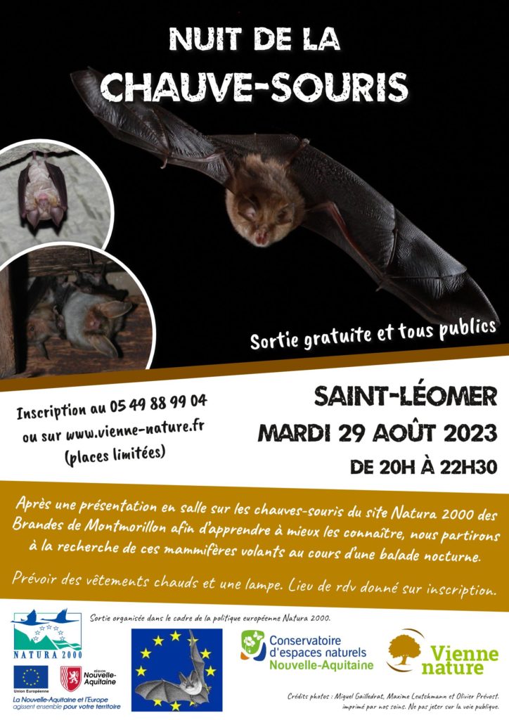 Nuit de la chauve-souris