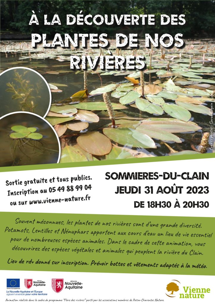 Plantes de nos rivières