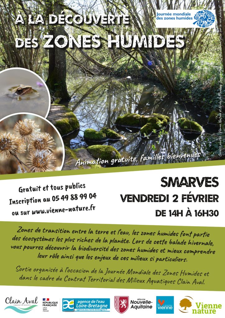 À la découverte des zones humides