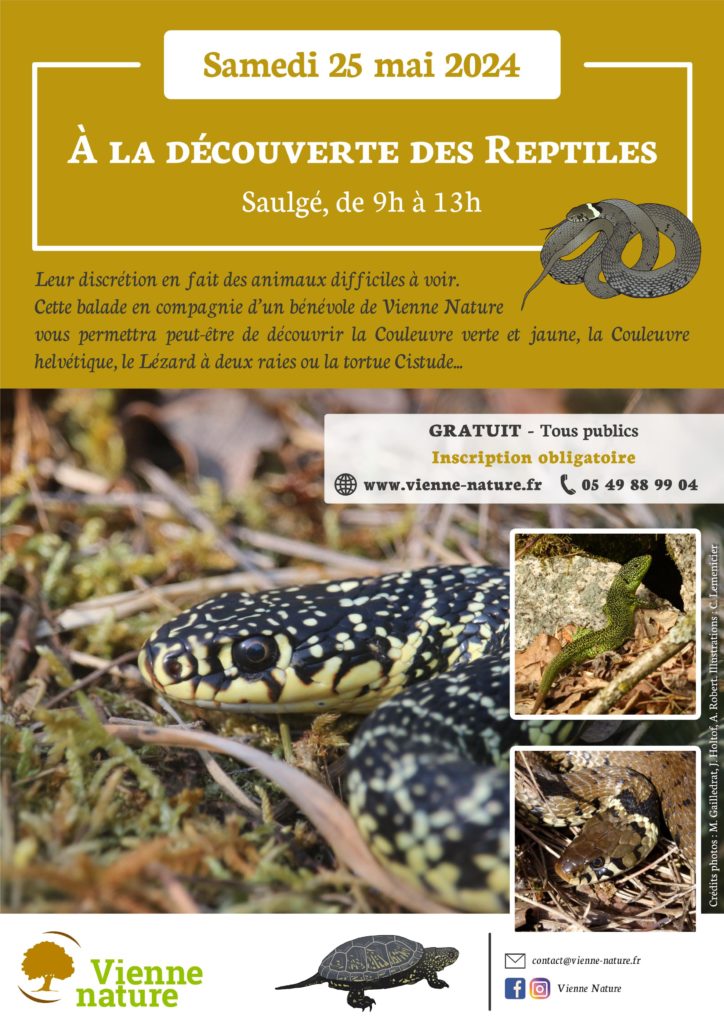 À la découverte des Reptiles