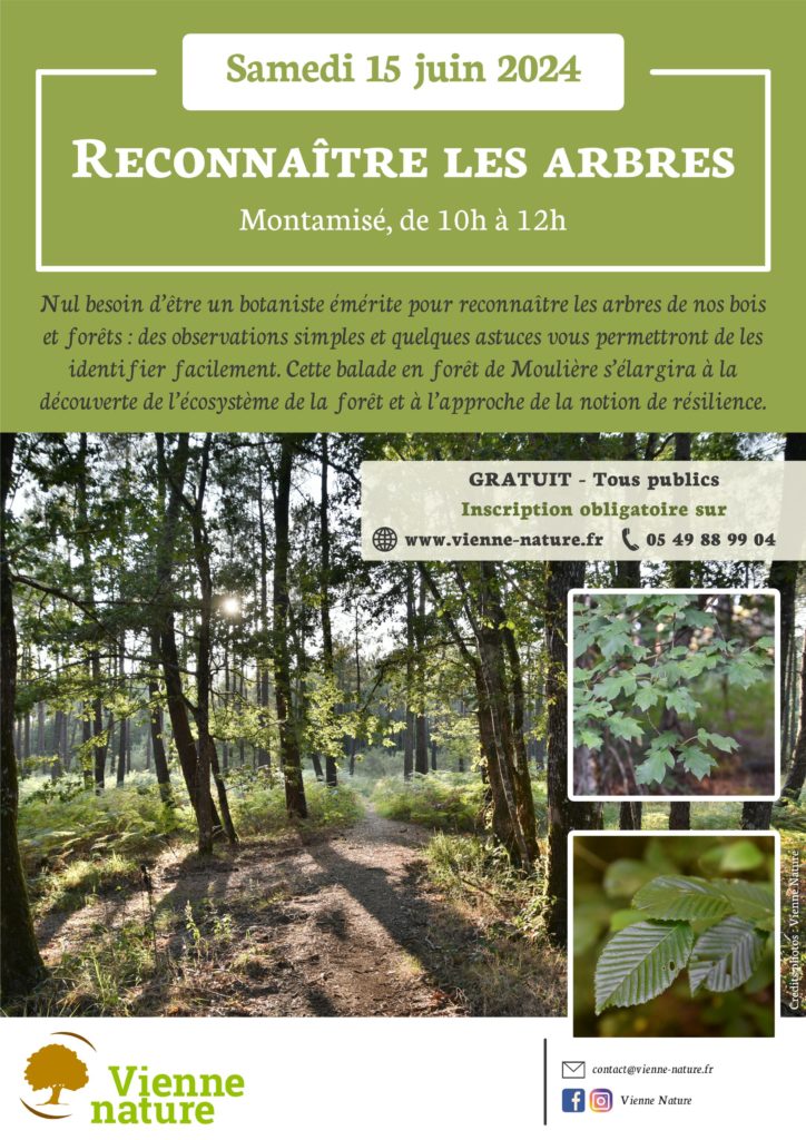 Reconnaître les arbres