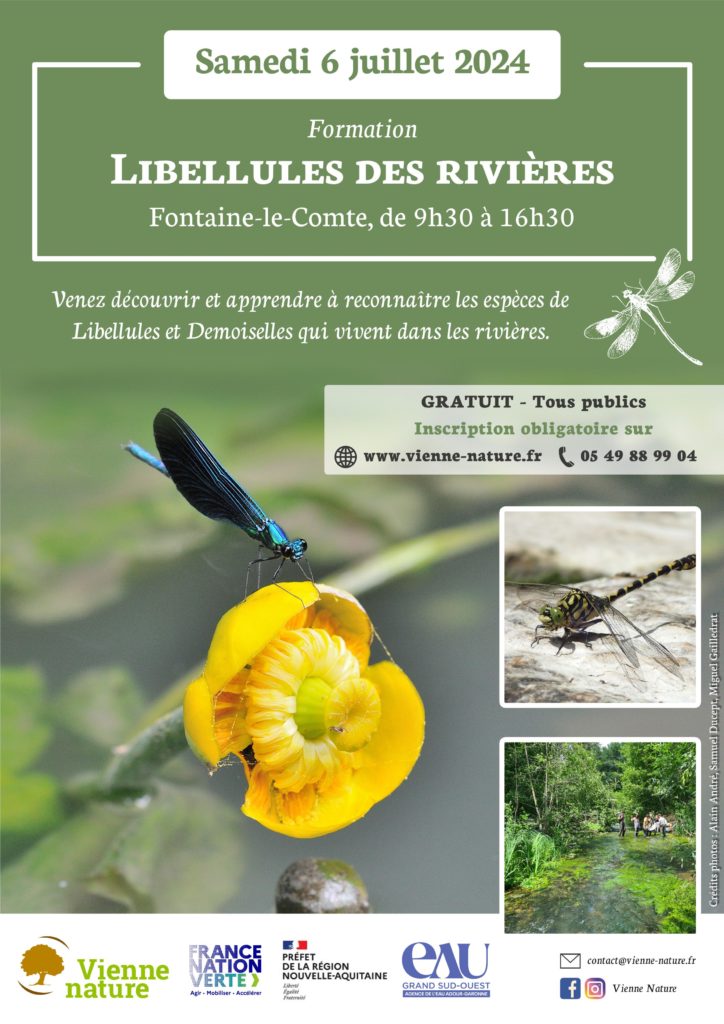 Libellules des rivières – Formation 2/3