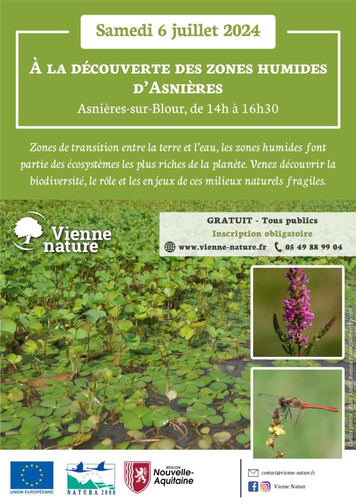 À la découverte des zones humides d&rsquo;Asnières