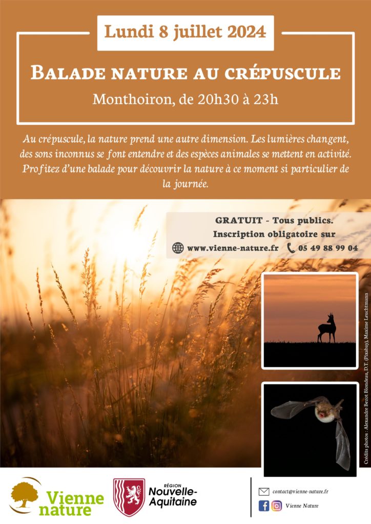 Balade nature au crépuscule