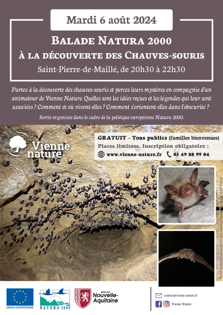 Balade Natura 2000 à la découverte des Chauves-souris