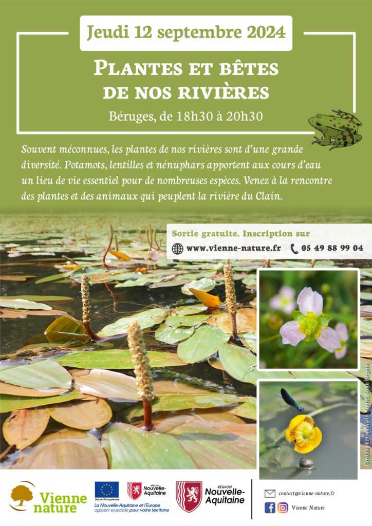 Plantes et bêtes de nos rivières
