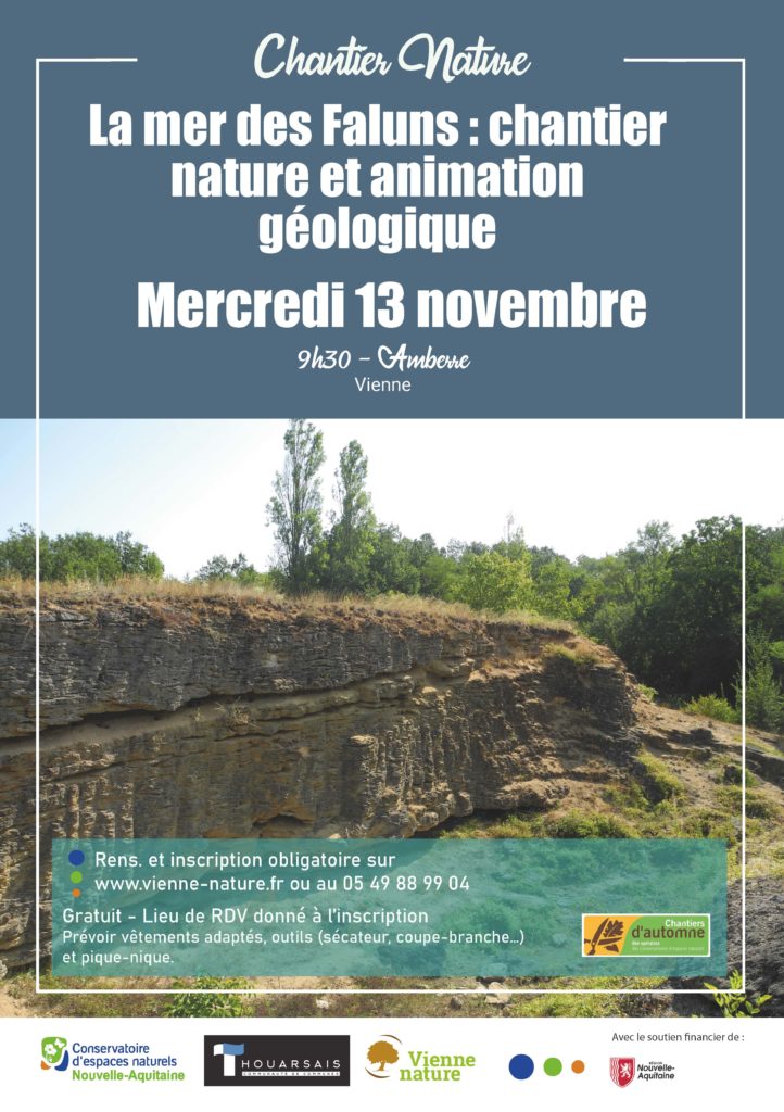 La mer des Faluns : chantier nature et animation géologique