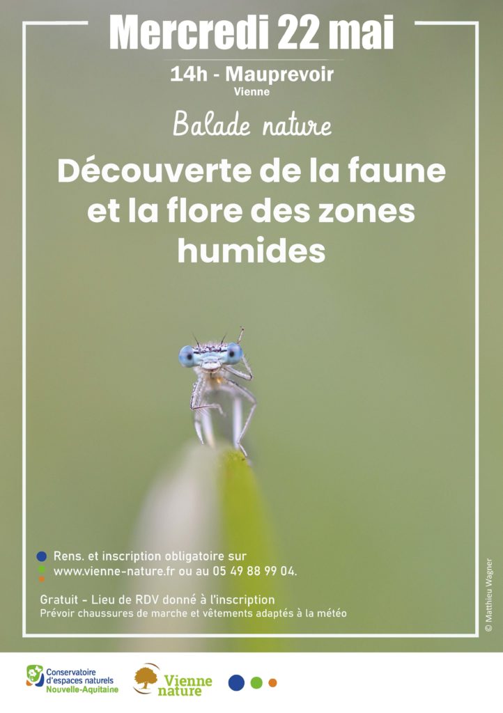 [ANNULÉ] Balade nature à la découverte des étangs Baro