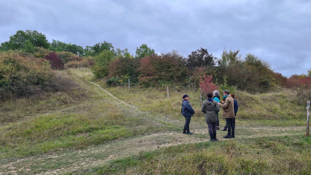 Chantier nature dans la Vallée des Buis
