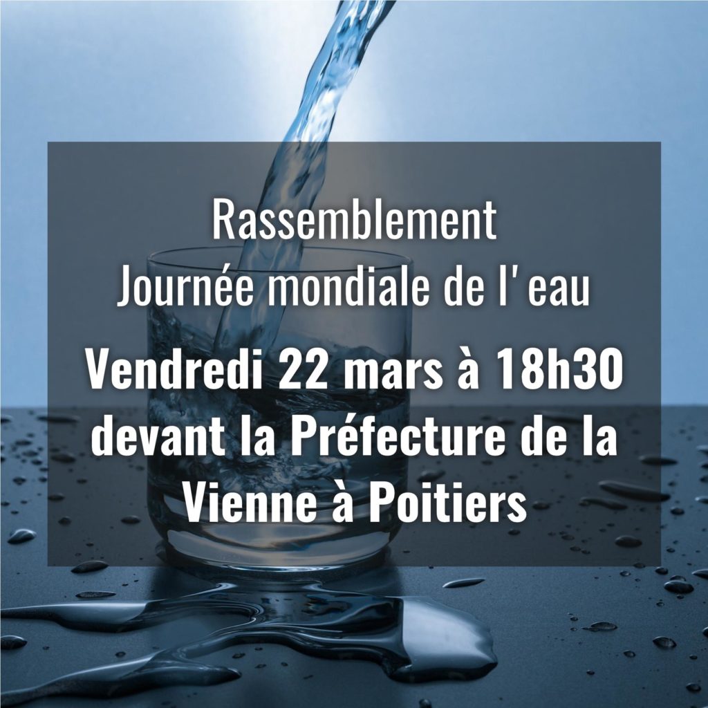 Rassemblement pour la Journée mondiale de l&rsquo;eau