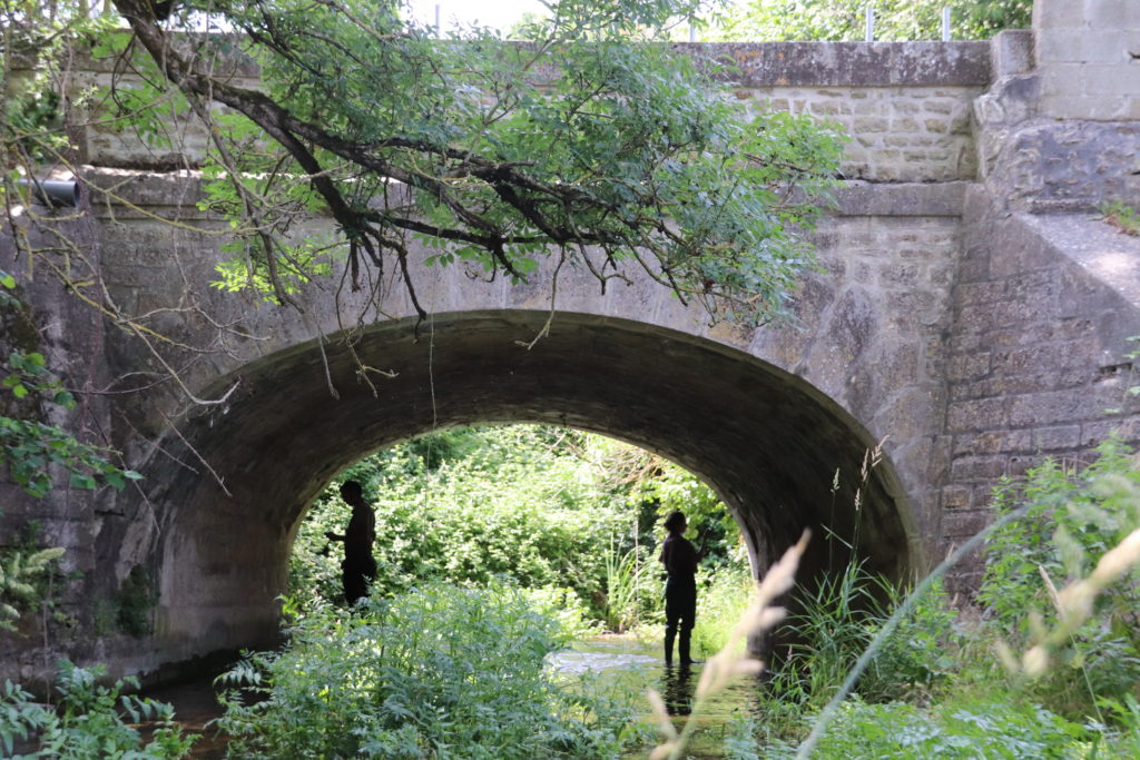Formation aux prospections « Chauves-souris sous les ponts »