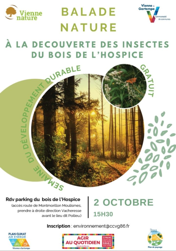 Balade nature à la découverte des insectes du Bois de l&rsquo;Hospice