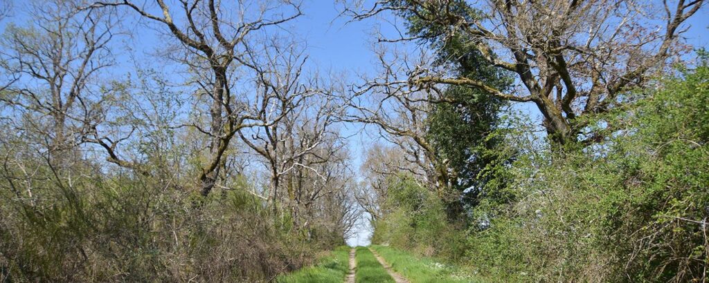 La biodiversité autour de la Benaize