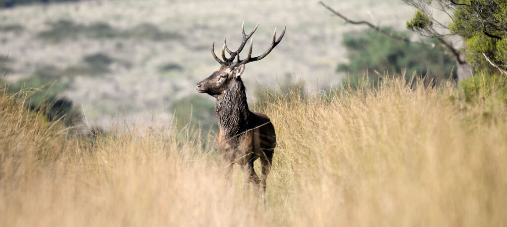 Balade Natura 2000 : la nature au crépuscule