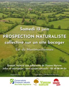 Prospection naturaliste collective sur un site bocager @ Montmorillonnais